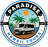 Paradise Hawaii Tours